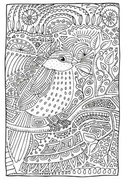 Par ici les couleurs !