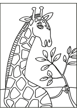 Par ici les couleurs !